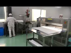 Microporous Polypropylene RO Industrial Pleated PP Water Filter Diameter 2.7