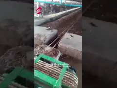 5,000 Birds Chicken Farm Use Manure Removal Machine Mia
