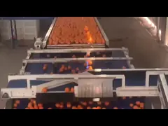 Плодородная оранжевая машина сортировальной машины 50Hz 380V умная высокоскоростная сортируя video