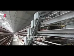 Эффективность Q235 стальной проволоки Система птицеводческой клетки с автоматическим кормлением и питьем video