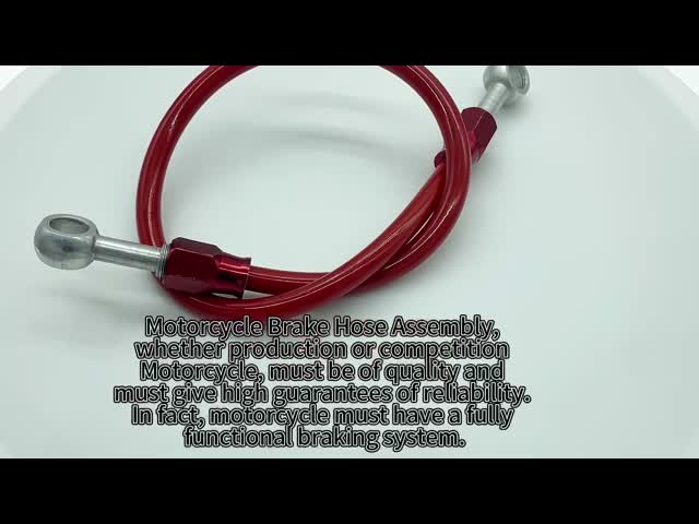 Heat Resistance 3AN PTFE Braided Brake Line Hose Replacement 400mm-2200mm