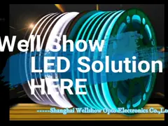 China 1010 Led Neon Lights IP67 Waterproof Outdoor Led Silicon Strip Light supplier