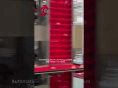 Автоматический тип клетка собрания a яйца слоя цыпленка для птицефермы Роза video