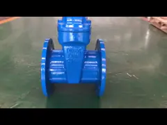 Закрытый клапан DI не поднимающийся ствол устойчивый сидячий клапан video