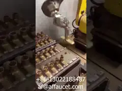 RTAF-AG0204M- Robot Grinding Machine For Medium Size Sanitaryware Brass Headshower