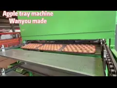 Ce Full Automatic Pulp Molding Machine Wine Tray Coffee Cup Tray Packaging Tray