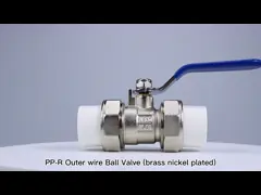 Прочный клапан металлического шара 1.6Mpa 2.5Mpa с образцами соединителя трубы PPR свободными video