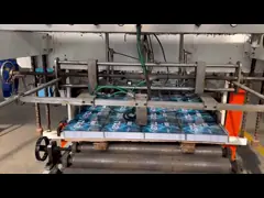 Приемлемый контейнер с бутаном ODM для применения на барбекю video