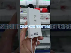 80W 20 Ohm Ceramic Cement Resistor 500VDC Cement Power Resistor For Pre-Charging