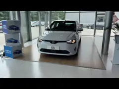 Coche eléctrico multicolor del vehículo eléctrico puro 170km/h New Energy de Weima E5 video