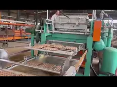 2-3 Personen ärgern Tray Production Line Capacity 700pcs/h--Ei Tray Making Machine des Papier-6000pcs/h