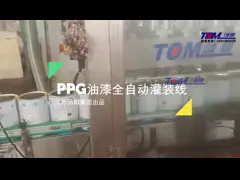 China Stainless Steel 304 Automatic Pick Up Bottle Top Load Case Packer supplier