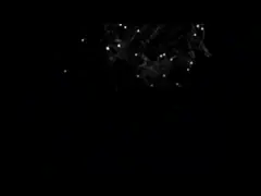 2000LPH Stainless Steel RO Treatment Plant For Water Desalination