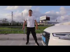 Собственная личность запирая связи кабеля нейлона 66/связи застежка-молнии/обручи связи video