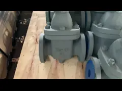 China 200-300 PSI Resilient Gate Valve FM Approved DI Gate Valve supplier