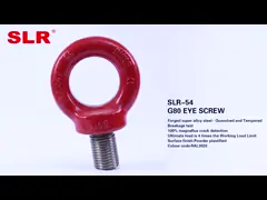 SLR054-G80 EYE SCREW