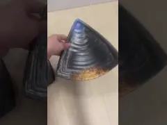 Незаконные суши меламина треугольника покрывают черную сервировку еды цвета video