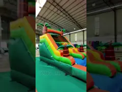 Джунглей водных горок двора детей водные горки на открытом воздухе тропических раздувные с бассейном video