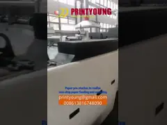 Série UV à grande vitesse de la machine de revêtement de tringlerie complètement automatique SGUV