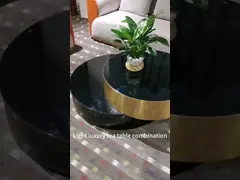 Ужесточатая нержавеющая сталь стеклянного журнального стола гостиницы живущей комнаты современная video