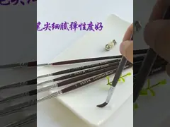 Зубоврачебное керамическое строение вверх по ручке щетки поливы ручки порошка фарфора лаборатории щетки более чистой video