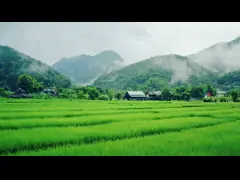 Полностью автоматический вертикальный сушильщик зерна 30ton в серию для завода пшеничной муки video