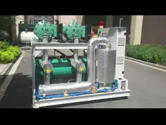 Подгонянная коммерчески прогулка в замораживателе R404a или R22 холодной комнаты взрыва для замороженных рыб video