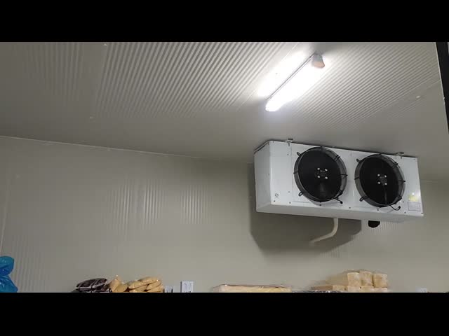 100mm 120mm PU Panel Cold Room Walk In Freezer Meat Chicken Cow Storage