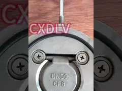 150LB CF8M NBR/EPDM O 링 탄력 밀폐 체크 밸브 물/바람/유/가스