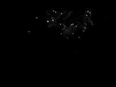 Машина 1000L/H очищать воды двойной системы водоочистки RO этапа чистая video