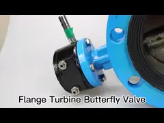 Соединение фланца клапан-бабочки утюга клапана ODM PN16 электрическое моторизованное дуктильное video