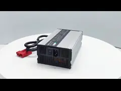 Вольт ODM/ODM 36/24 заряжателя литий-ионного аккумулятора RoHS вольта video