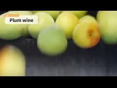 Вино сливы алкоголя белого пряного OEM вина ради 720ml японского низкое video