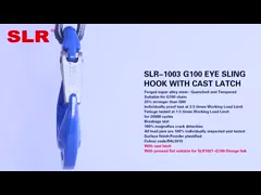 КРЮК SLIP ГЛАЗА SLR1003-G100 С БРОШЕННОЙ ЗАЩЕЛКОЙ video
