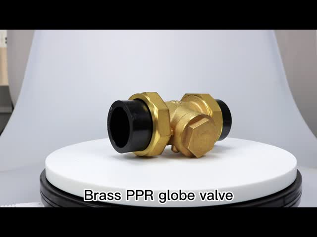 Forged PPR Brass Swing Type Non Return Valve Horizontal For Water Meter