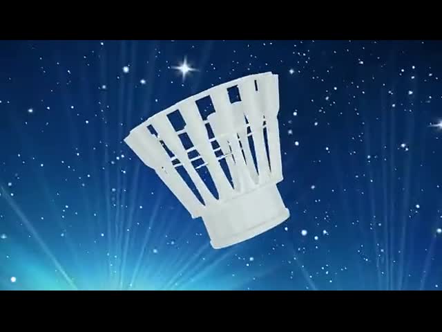 繊維は1本のShuttlecockの雑種のバドミントンのShuttlecockのガチョウの羽に付き3本に栓をする