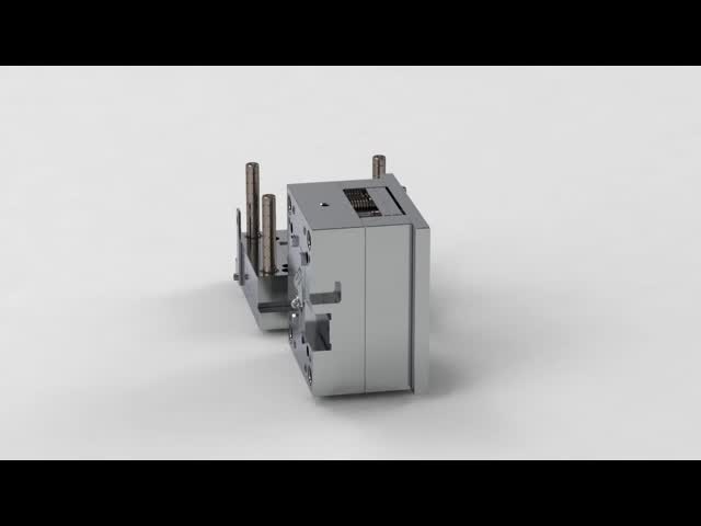 OEM/ODM Ключ (1*8) пластиковая инъекционная форма No.19017-C видео