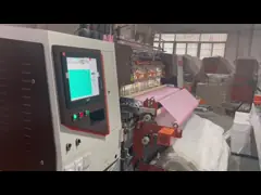 Машина компьютеризированная быстрым ходом выстегивая со стопом сломленной машины потока автоматическим video