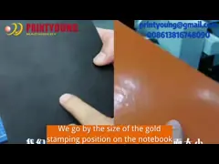 Машина принтера фольги фильма PVC PRY-8025 цифров планшетная с системой Windows video