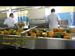 Customized Automatic  Pineapple Processing Line 304 Stainless Steel 220 - 380V