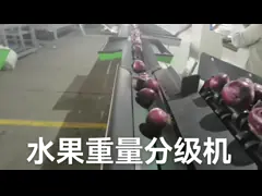 Автоматическая электронная стирка плода и машина 5MT/H вощить video