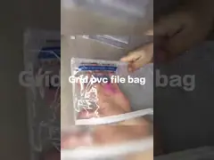 Grid pvc file bag