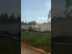 Latest Anaerobic Digester For Global Biogas Plant Project