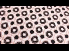 Изготовленная на заказ расстворимая в воде вышивка гипюра отделки шнурка шнурует ткань отделки для платья video