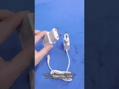 заряжатель Usb штепсельной вилки стены заряжателя 10W переходника стены USB OEM 5V 2A video