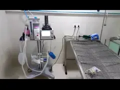 DM6B Anesthesia System