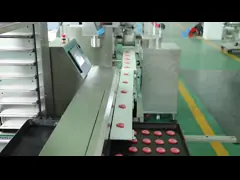 Машина резца печенья коммерчески печенья Encrusting заполненная машиной video