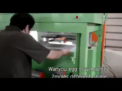 Machine de plateau à œufs automatique et entièrement automatique de déchets de papier Structure compacte Facile à utiliser Plateau à papier de différents modèles
