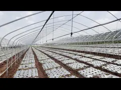 Food Grade PVC Irrigation Fertilization System Drip And Sprinkler Irrigation System