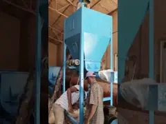 1-12 мм Конечный размер пеллет Кольцевая пеллетная мельница Тип пеллетной линии для кормов для животных video